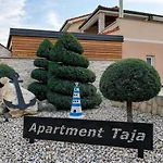 Taja Cizici
